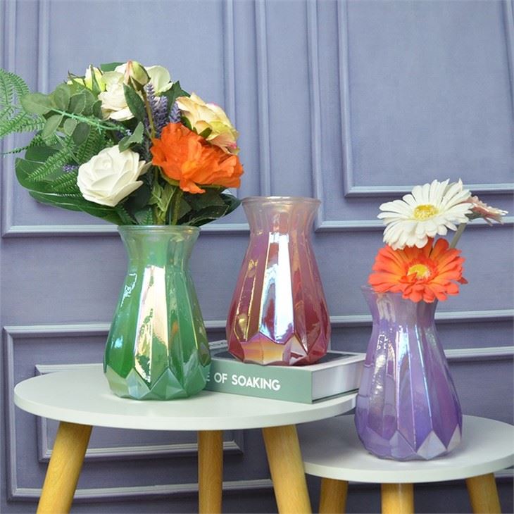 Decorative Living Room Glass Vase For Cafe